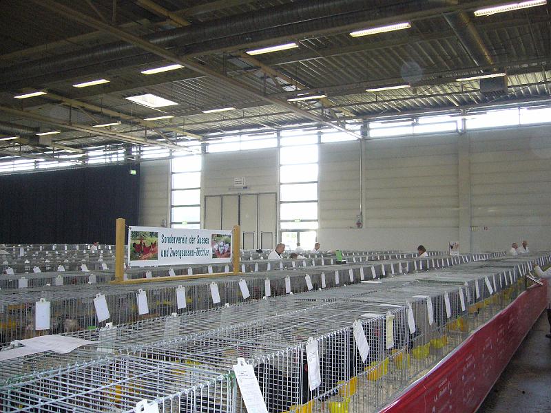 Muenster 2008 010.jpg - Die Preisrichter geben sich mühe um die Tiere richtig zu benoten